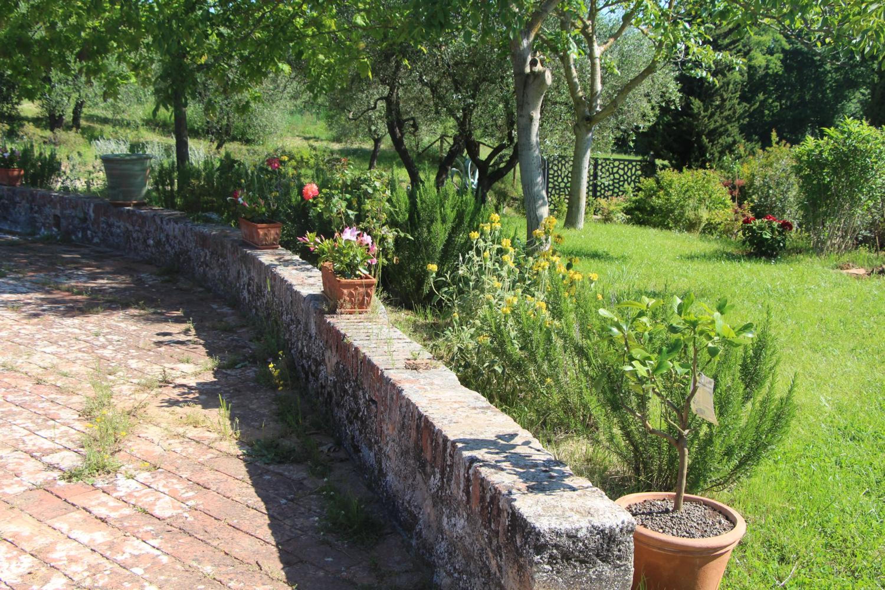 Photo 42