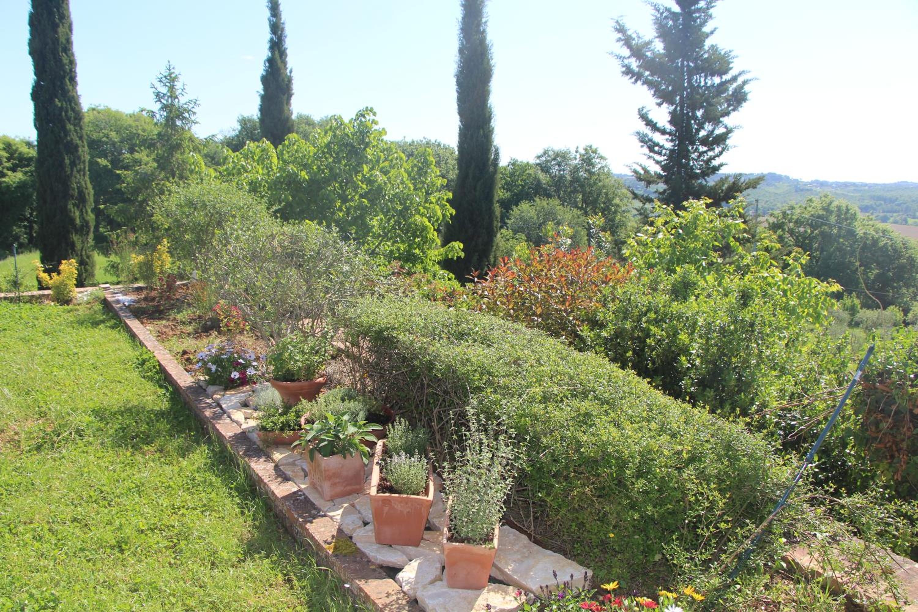 Photo 44