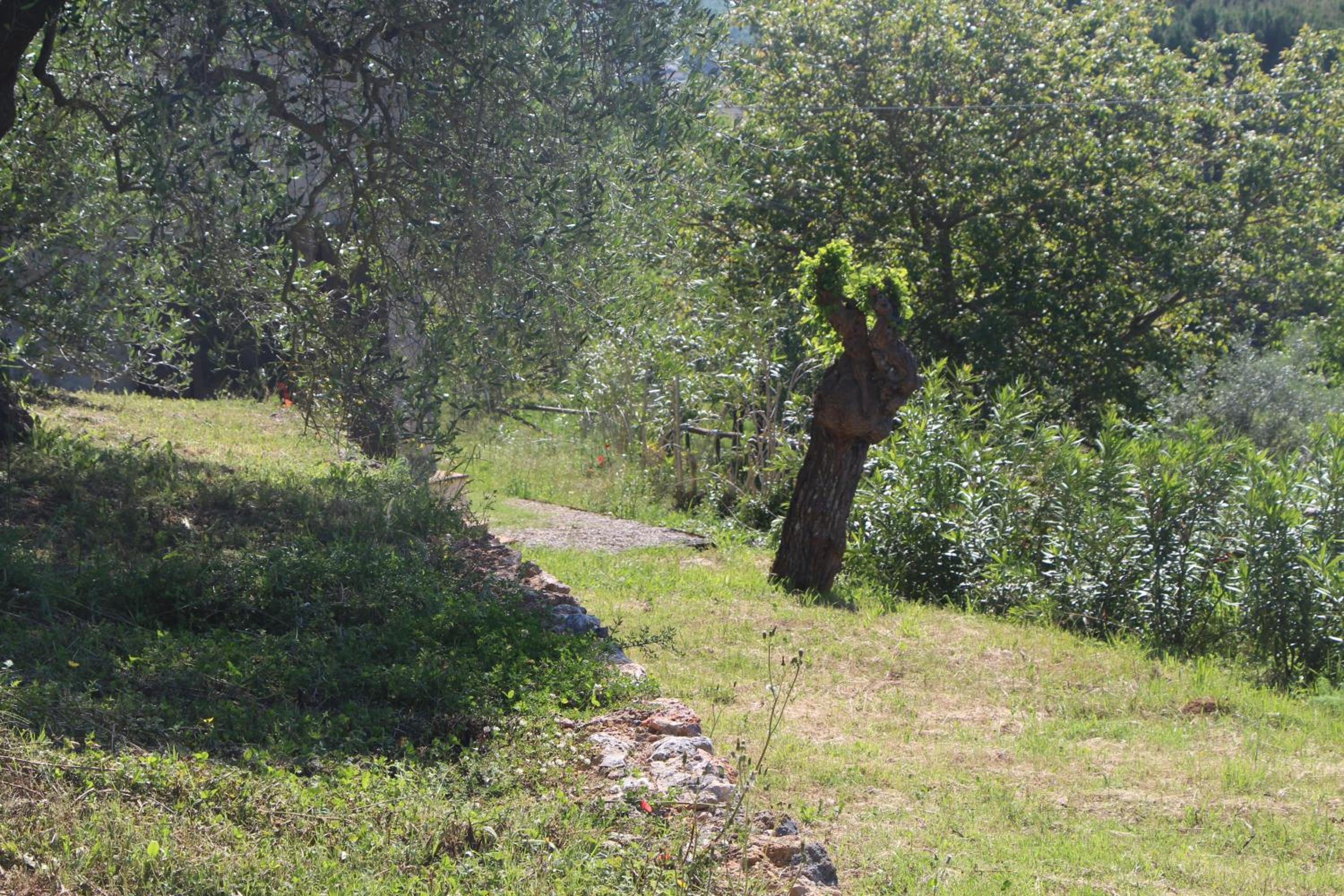 Photo 43