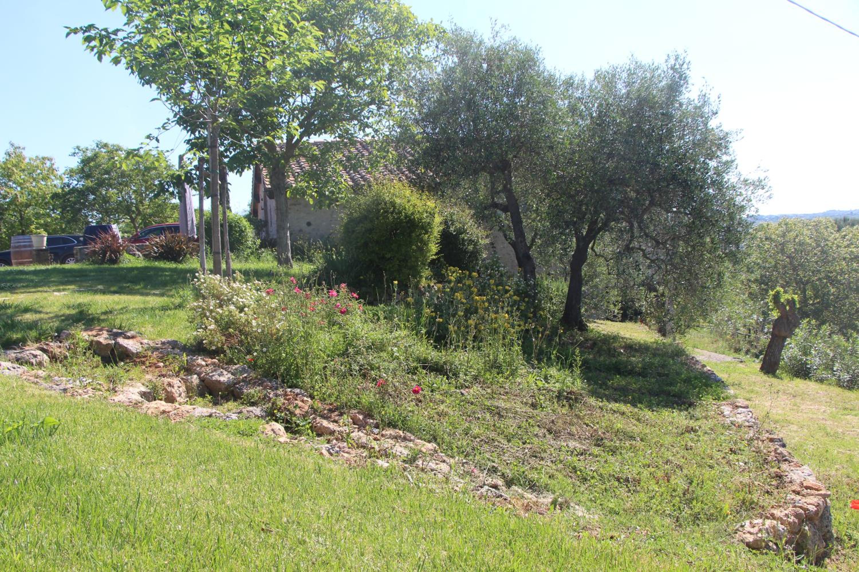 Photo 47