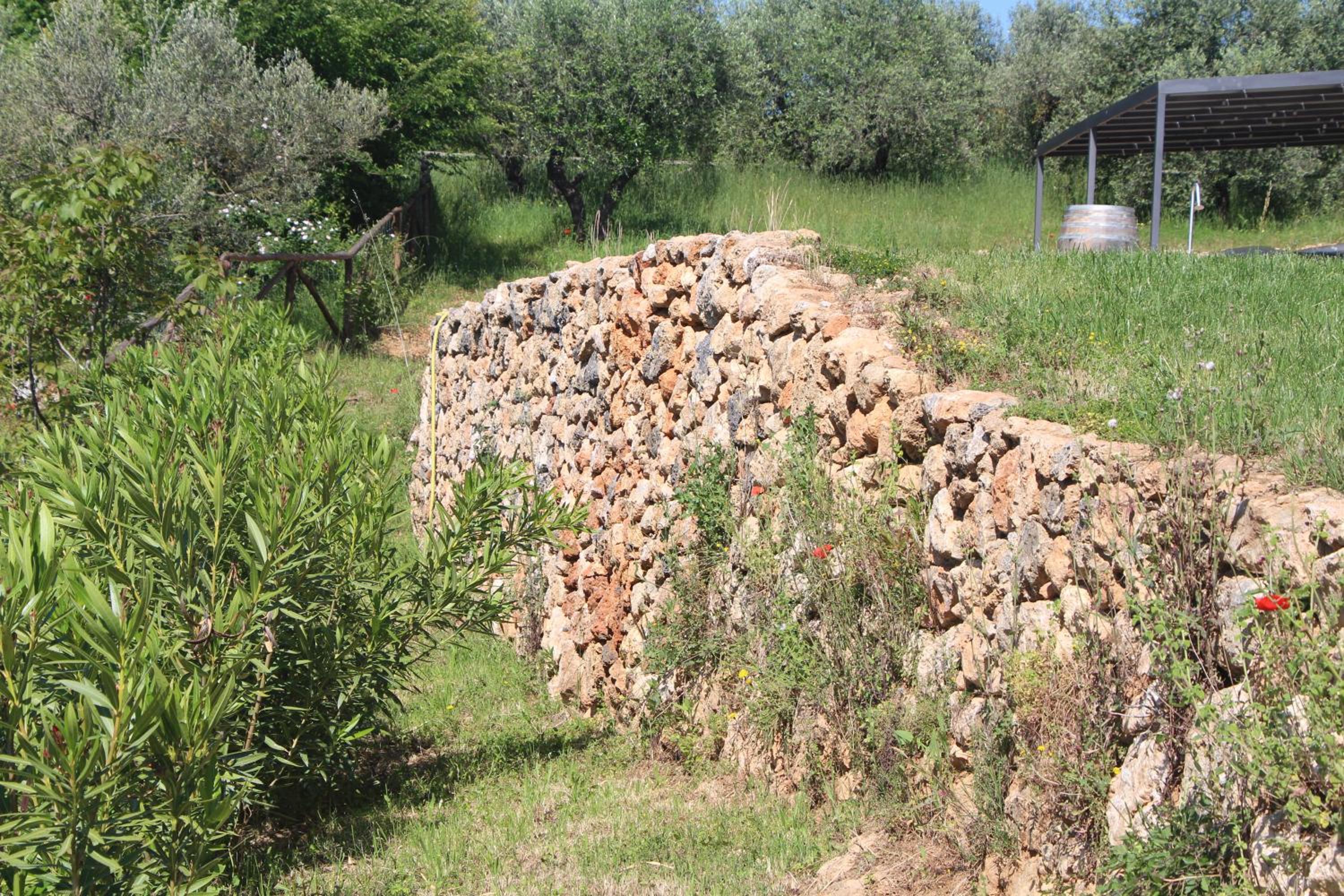 Photo 48