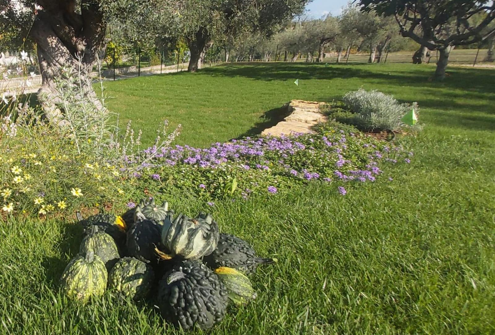 Tenuta Porello
