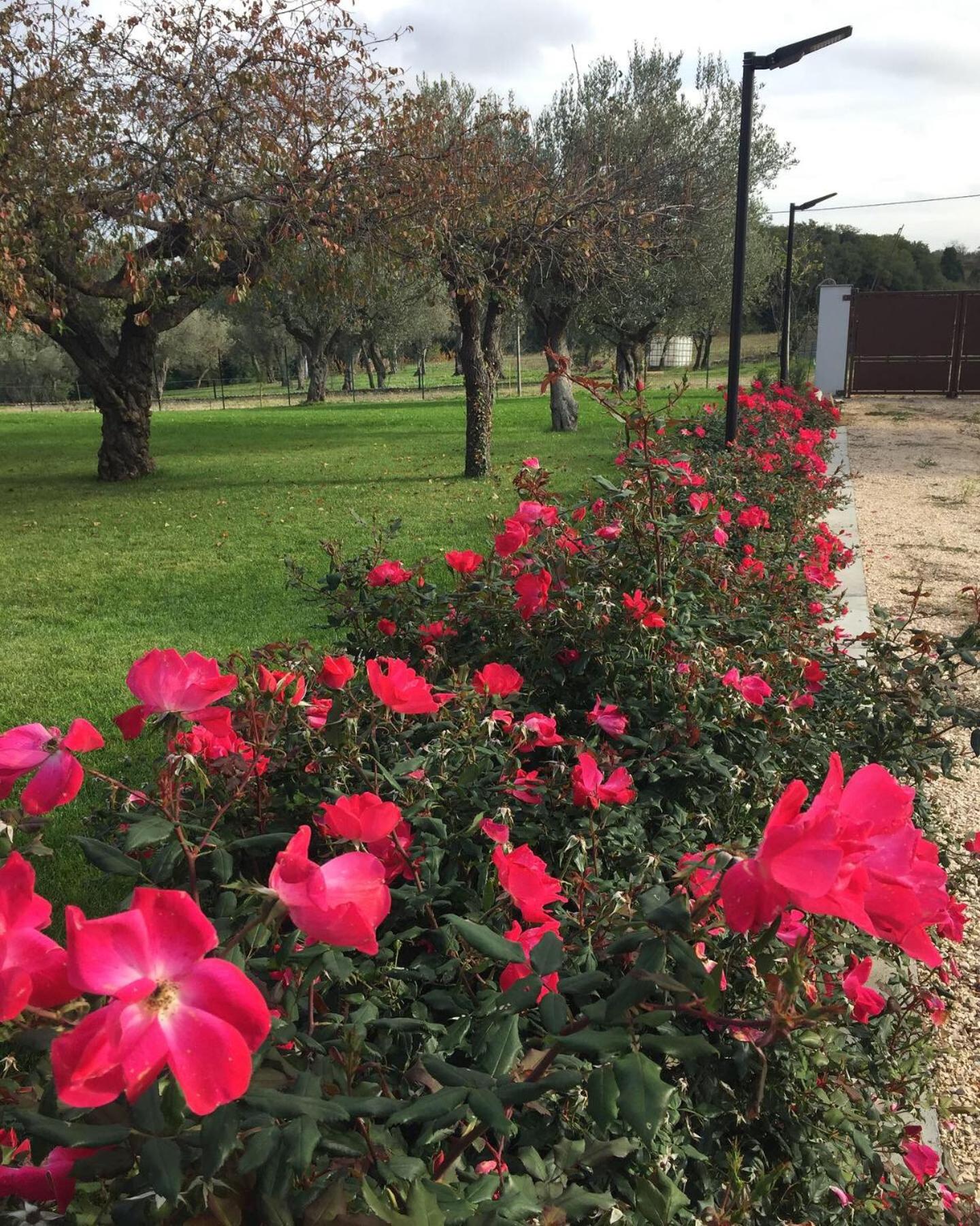 Tenuta Porello