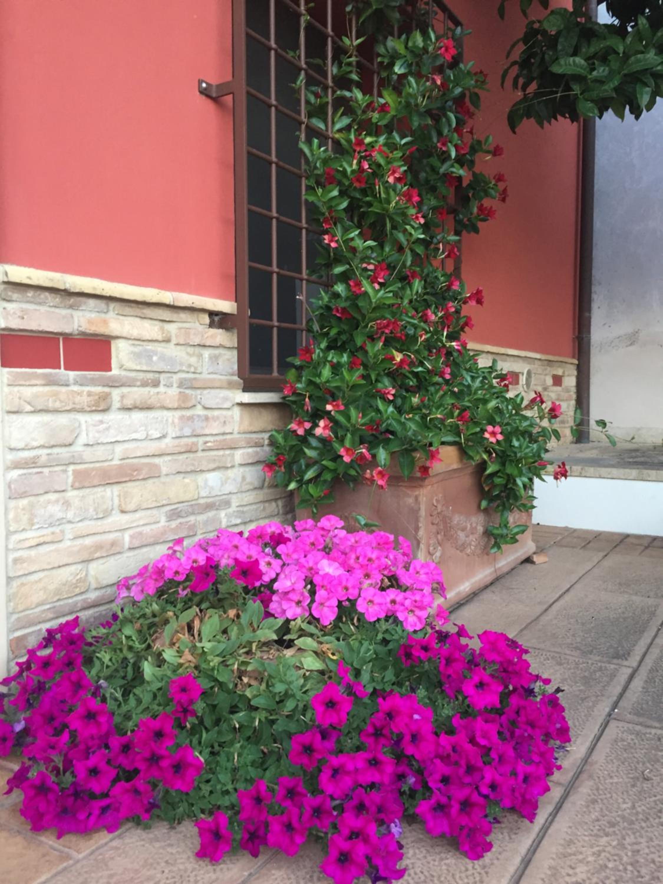 Tenuta Porello