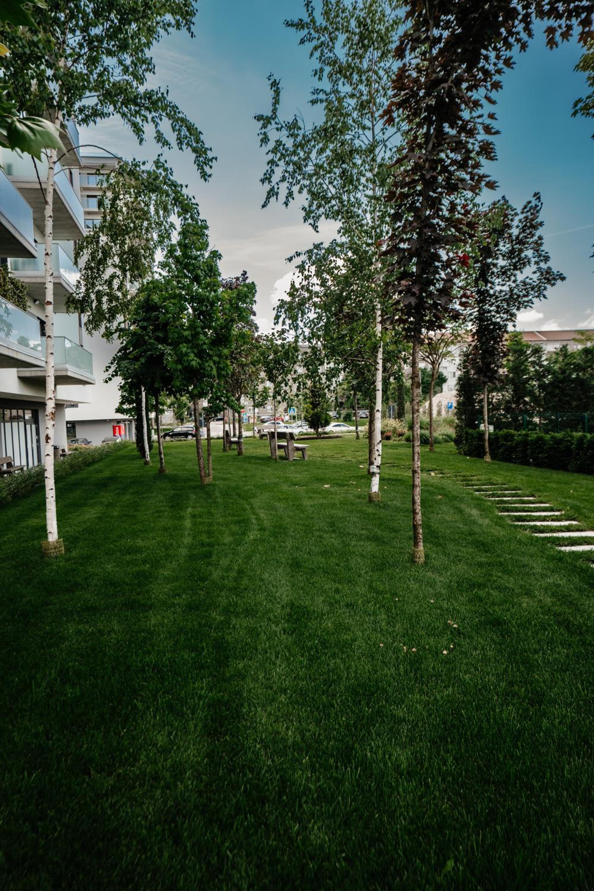 Sunset View Apartment