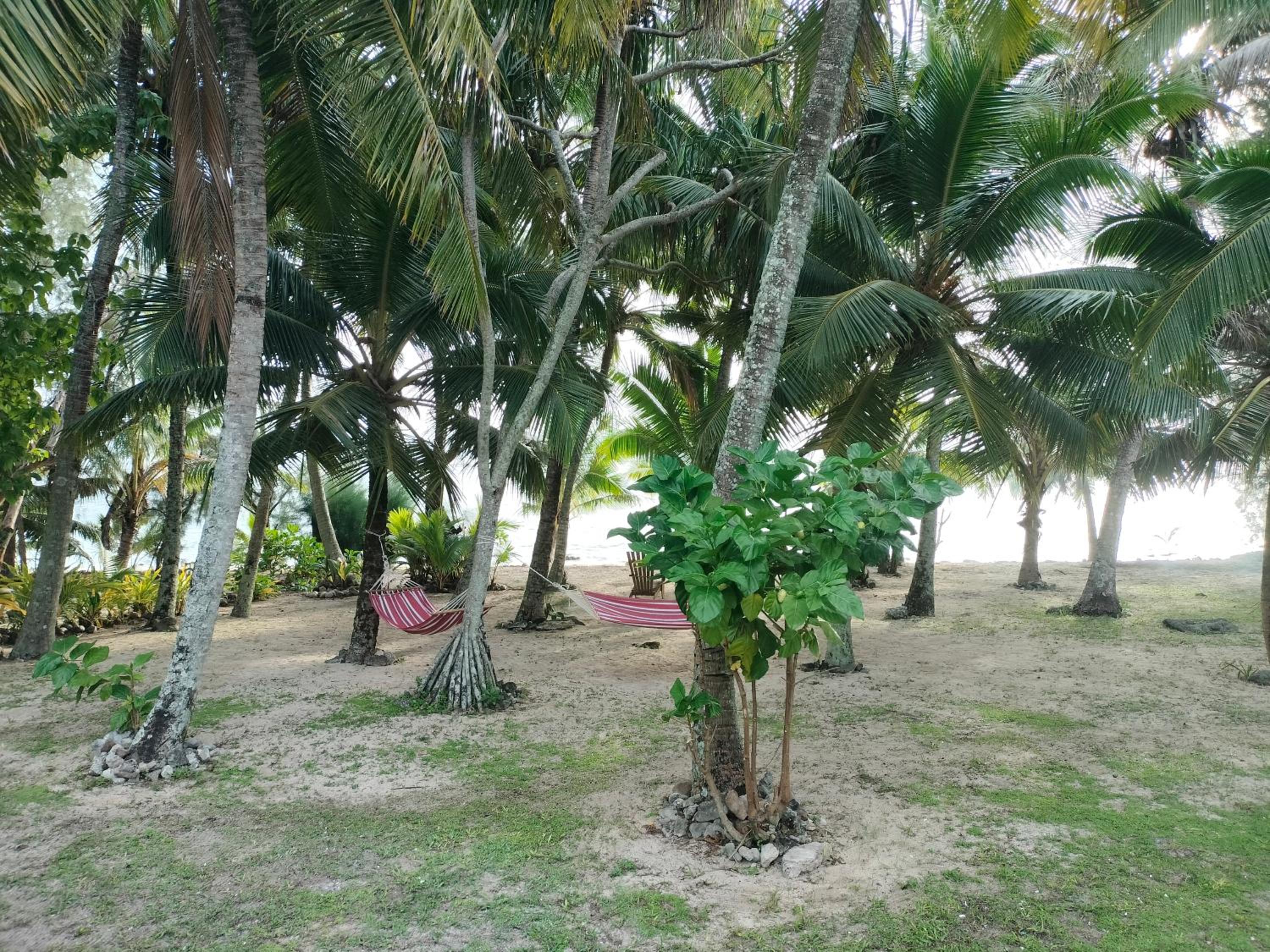 Oronga Beach