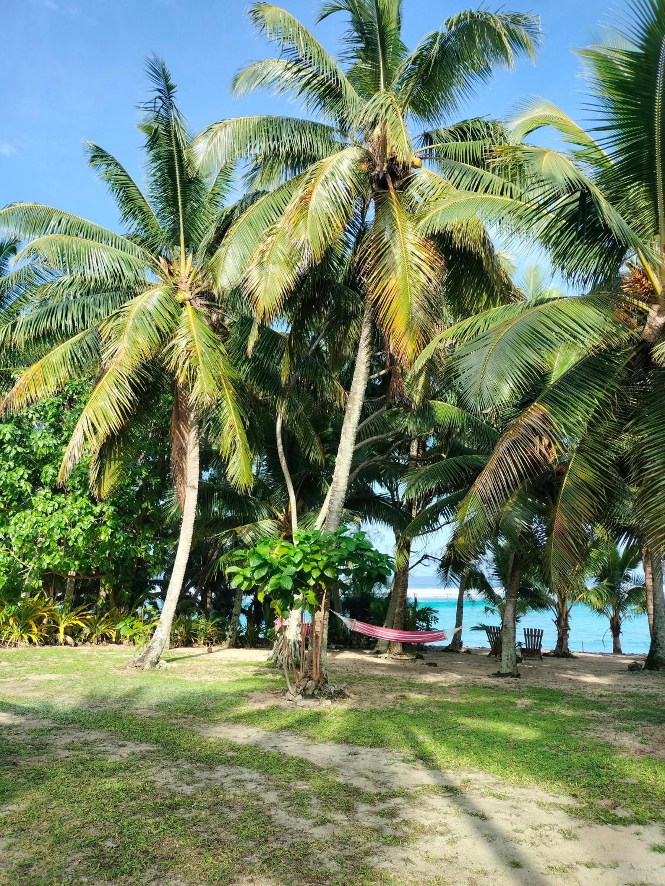 Oronga Beach
