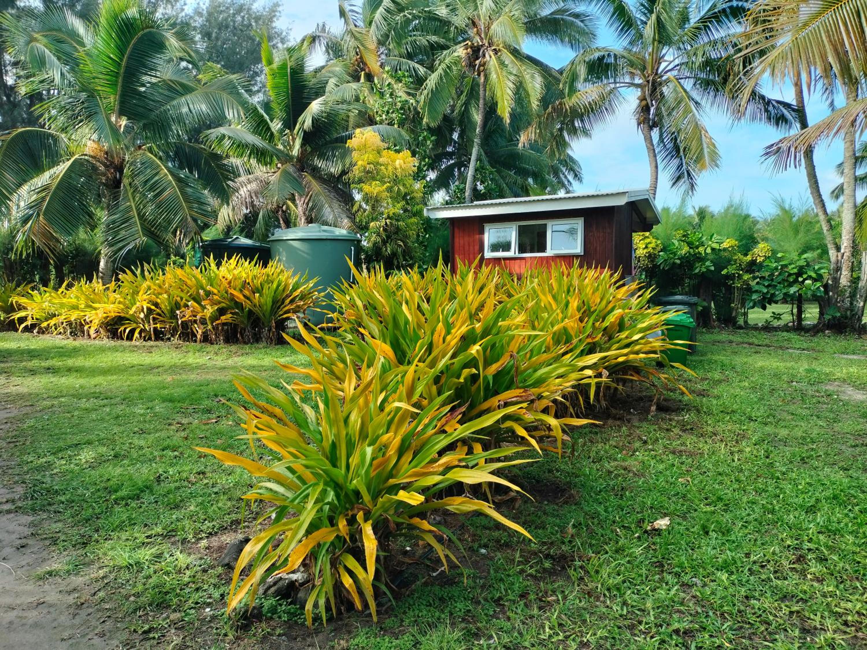 Oronga Beach