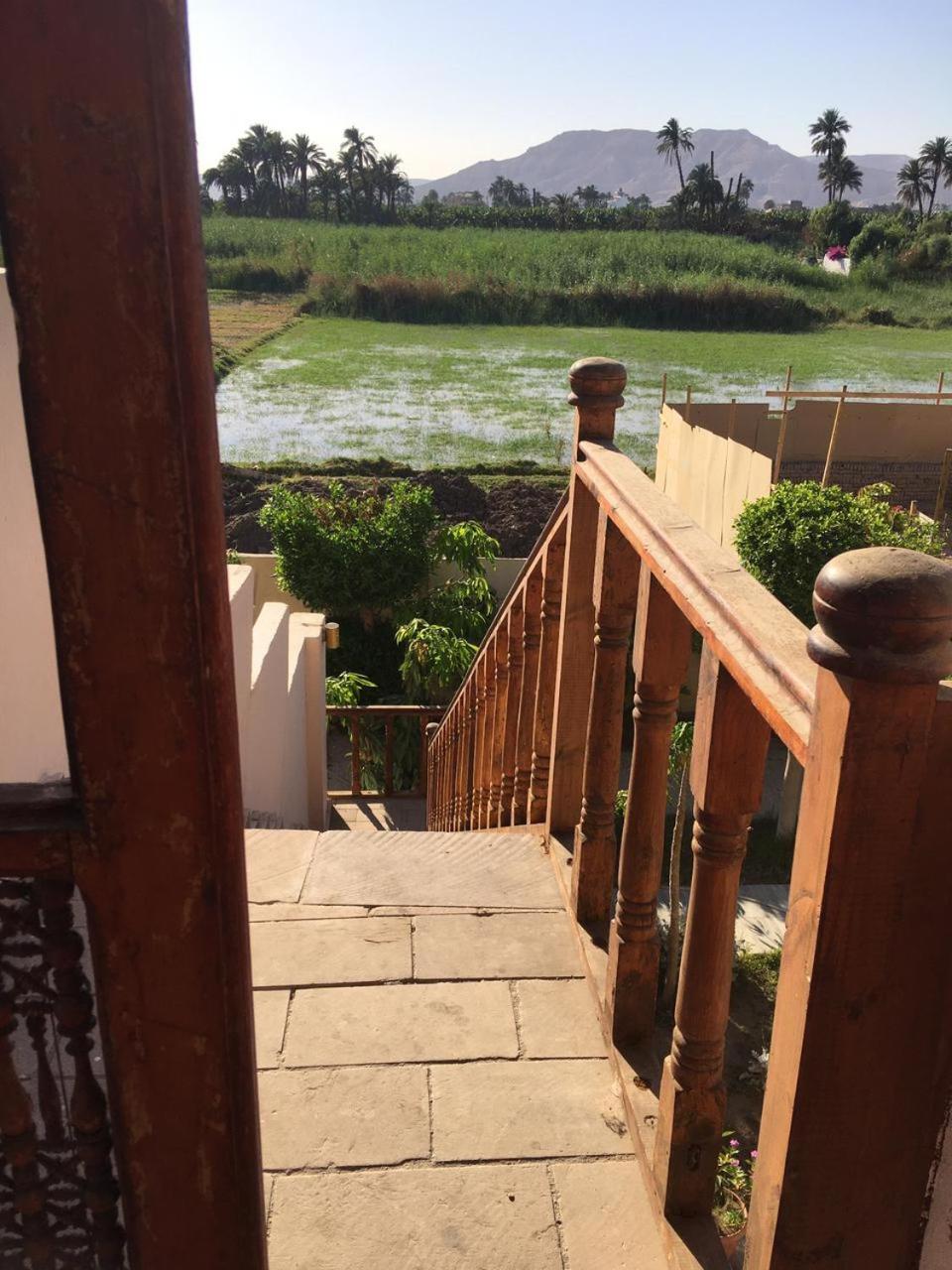 Garden view guest house