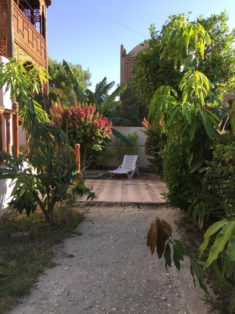 Garden view guest house