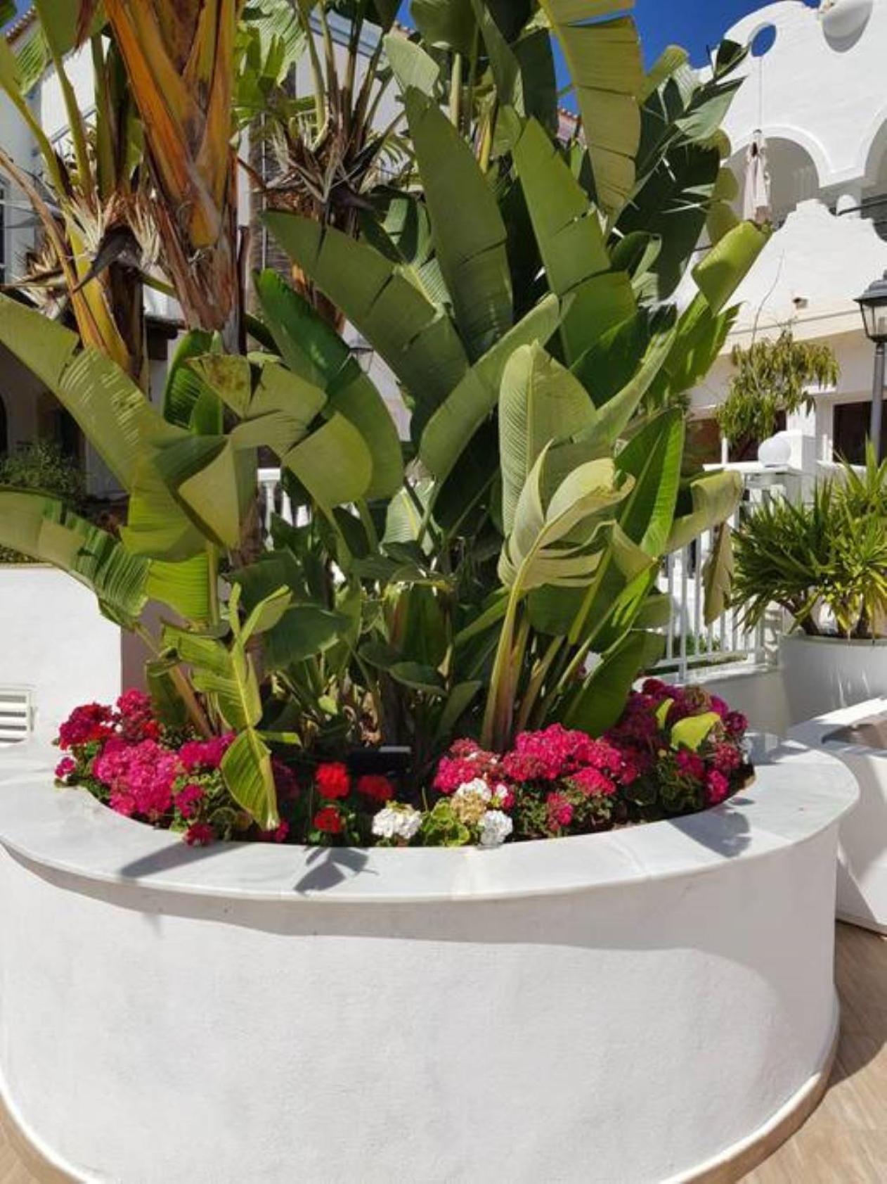 Marbella Vacations - Casa Chico 2 bedroom townhouse 1 Mile from Marina Beaches - Property Image 55