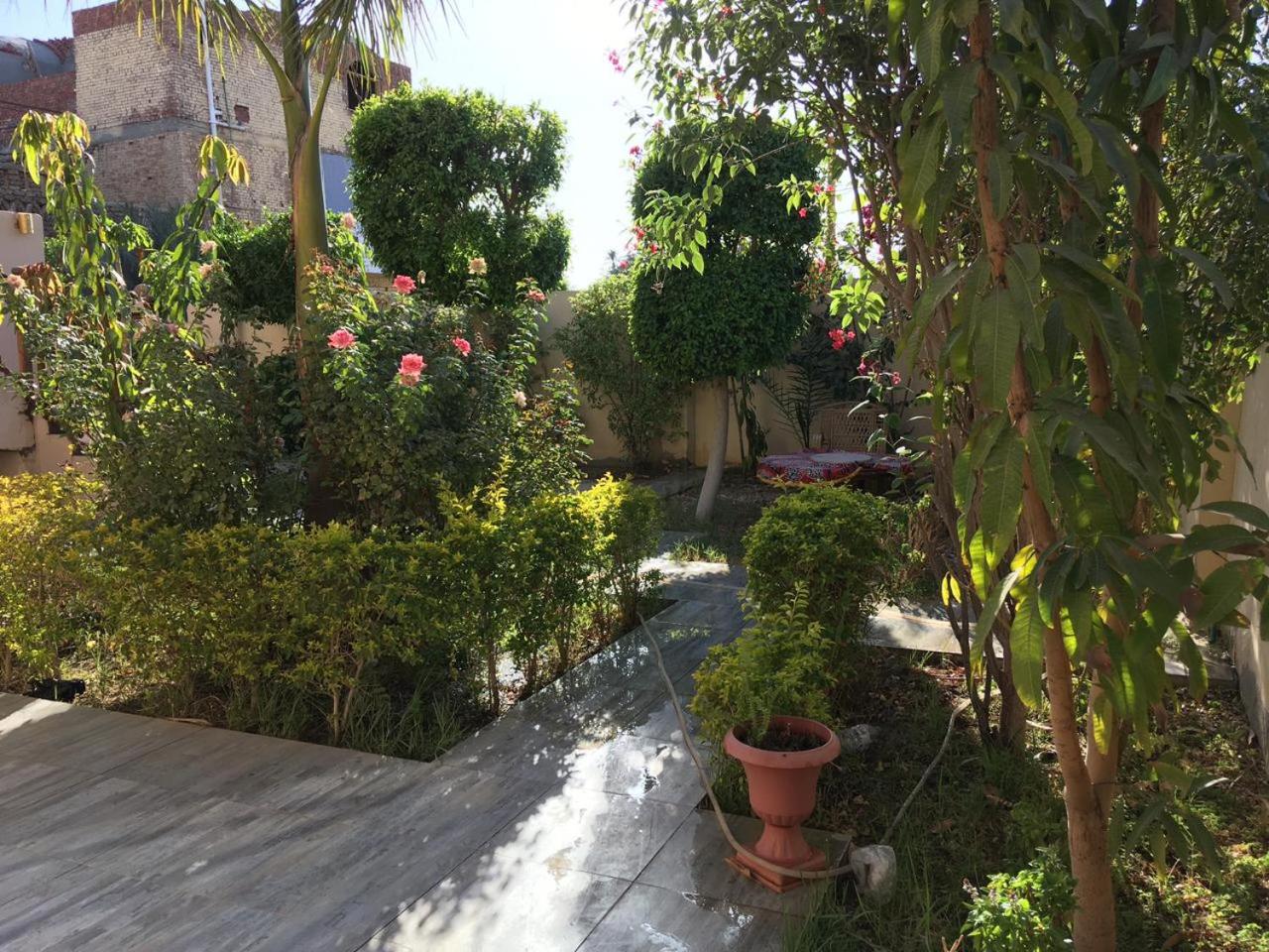 Garden view guest house