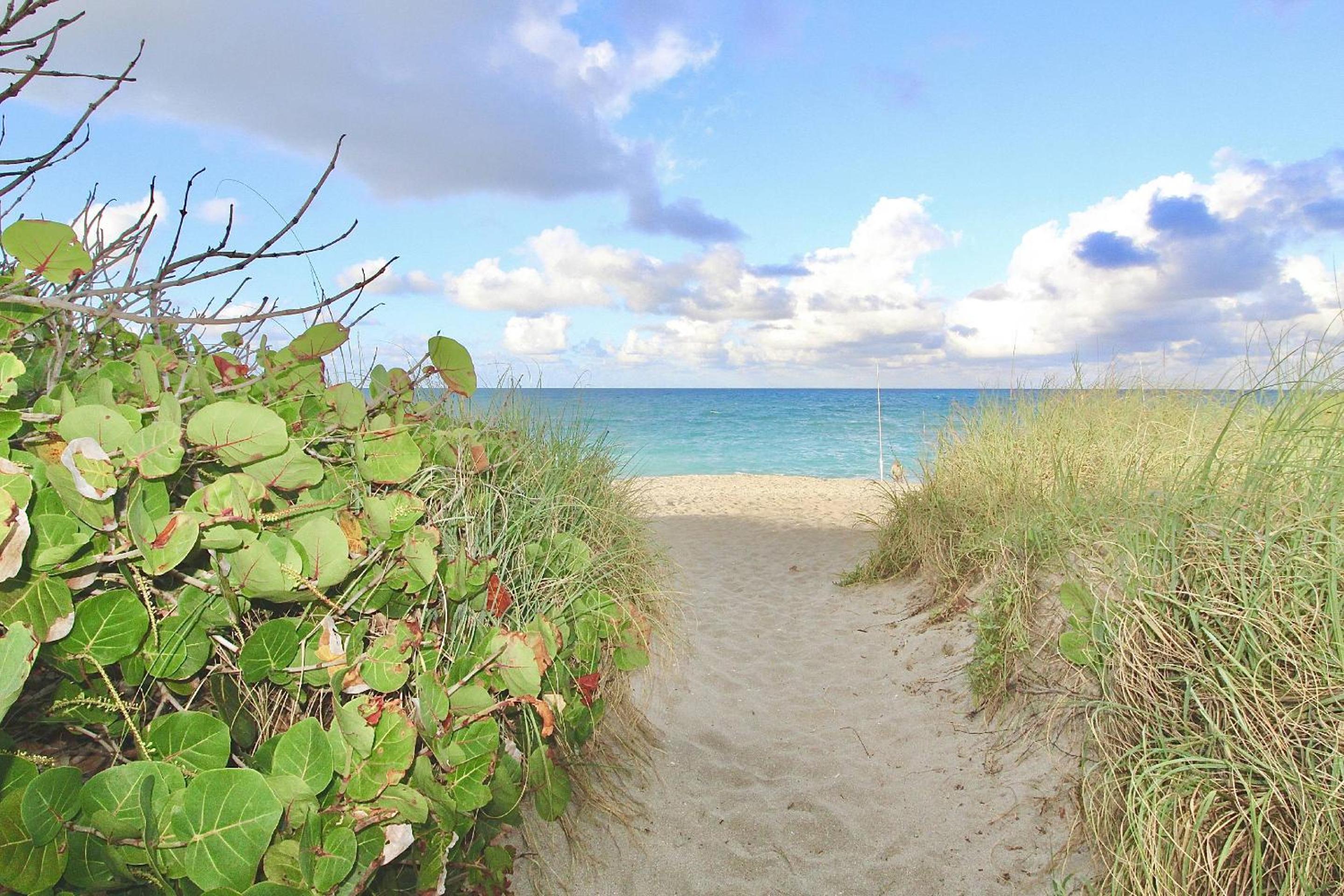 The Riverwood Hutchinson Island