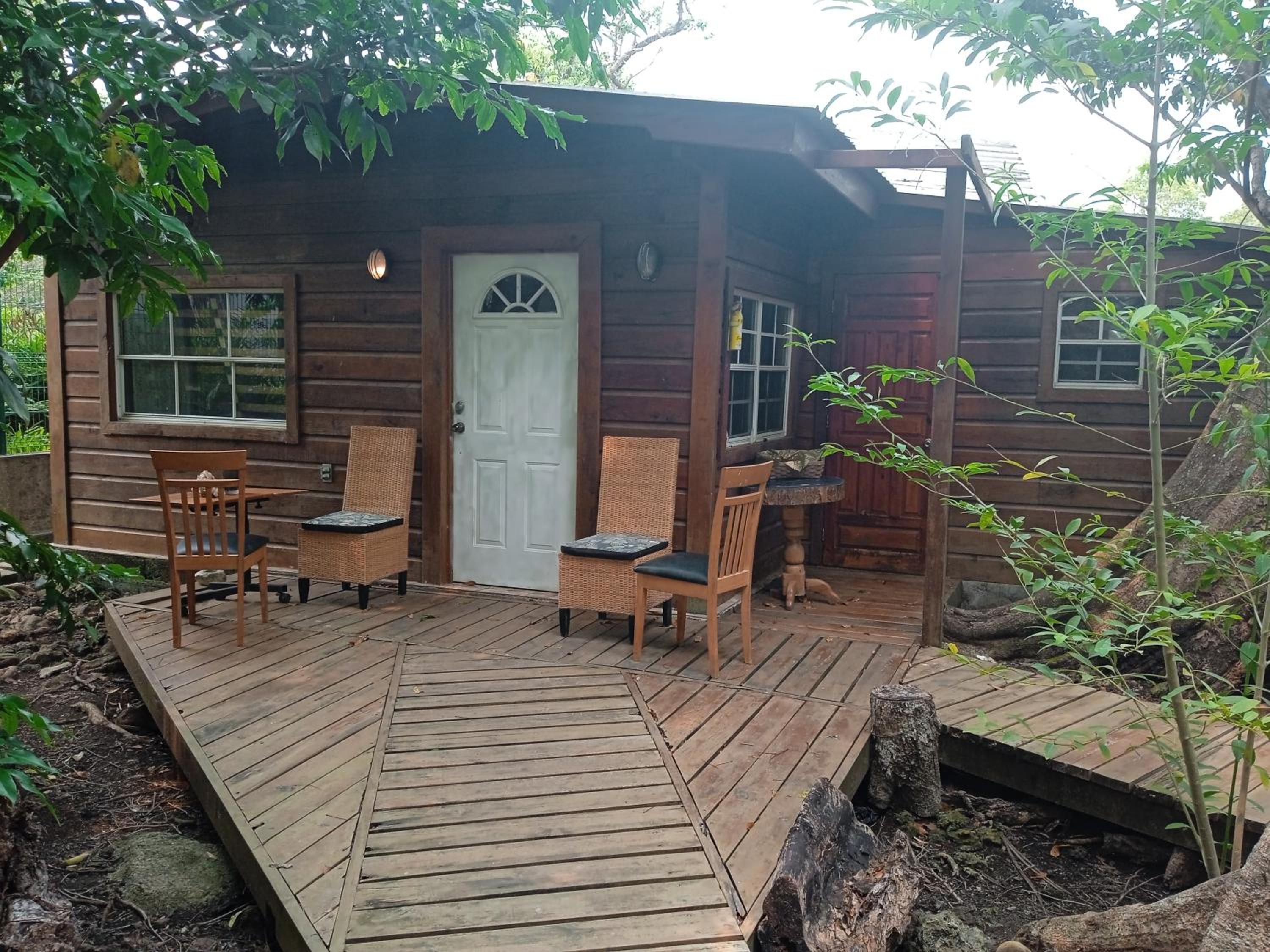 cabaña en la selva