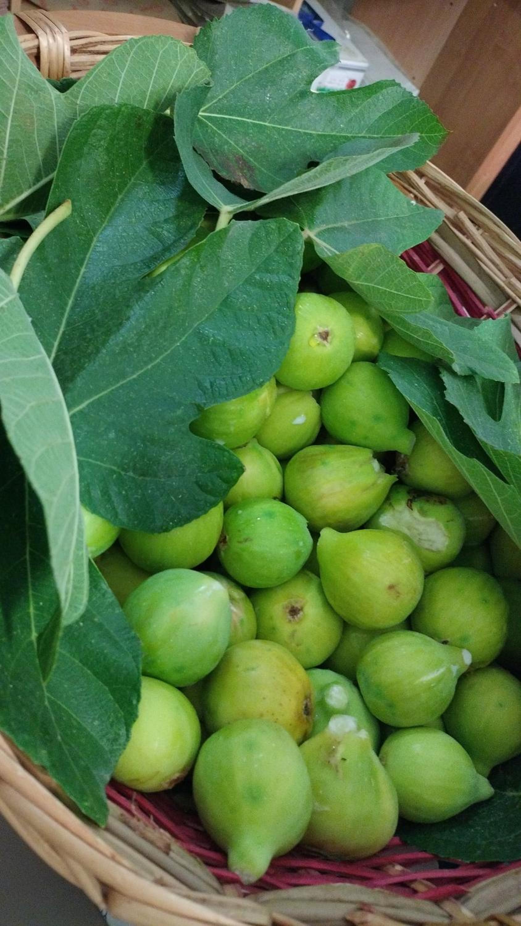 B&B Casa Desimio photo 4