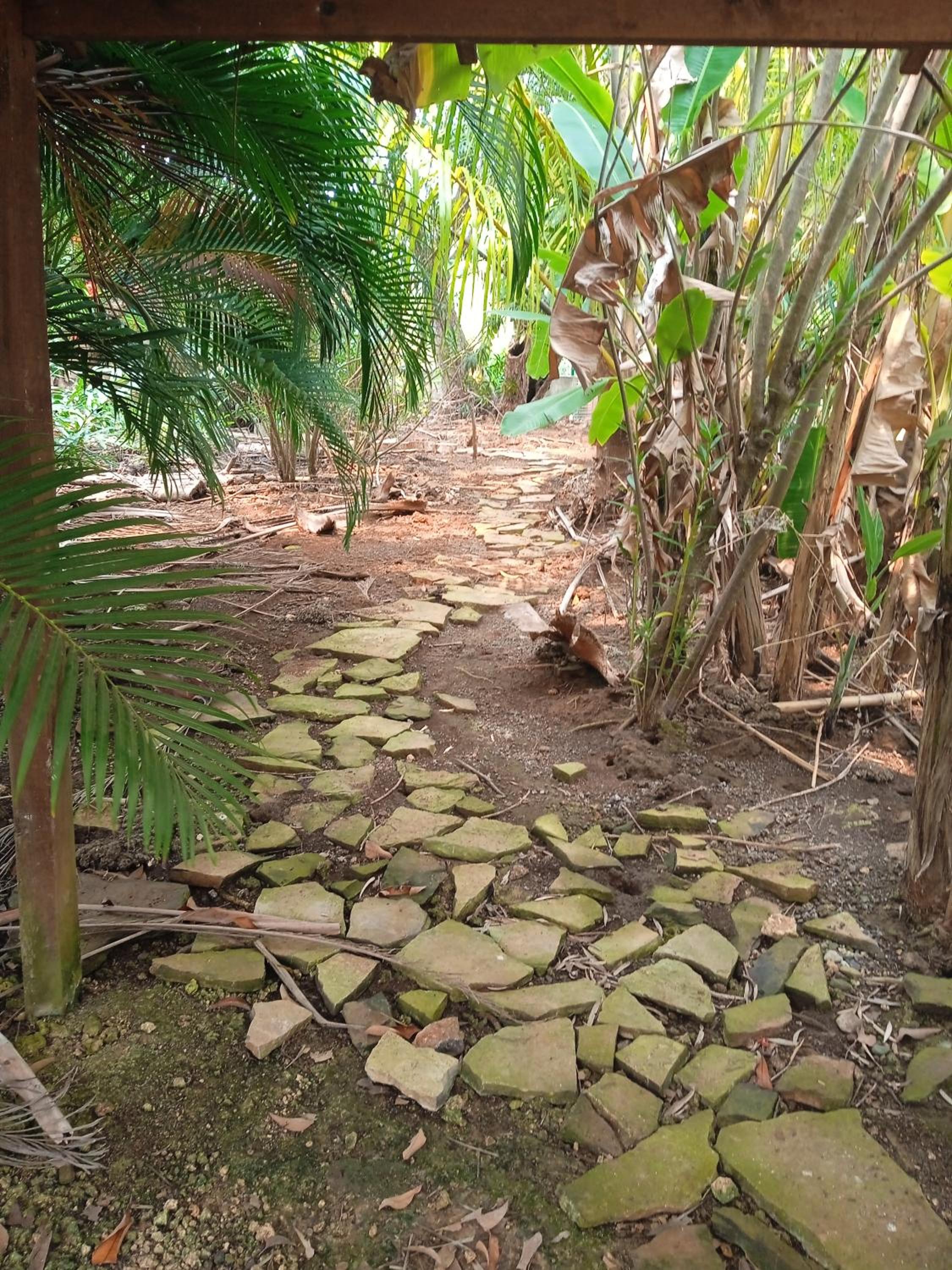 cabaña en la selva