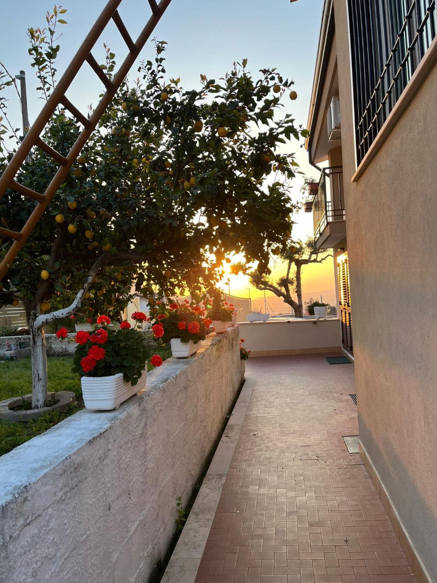 Casa Consiglia