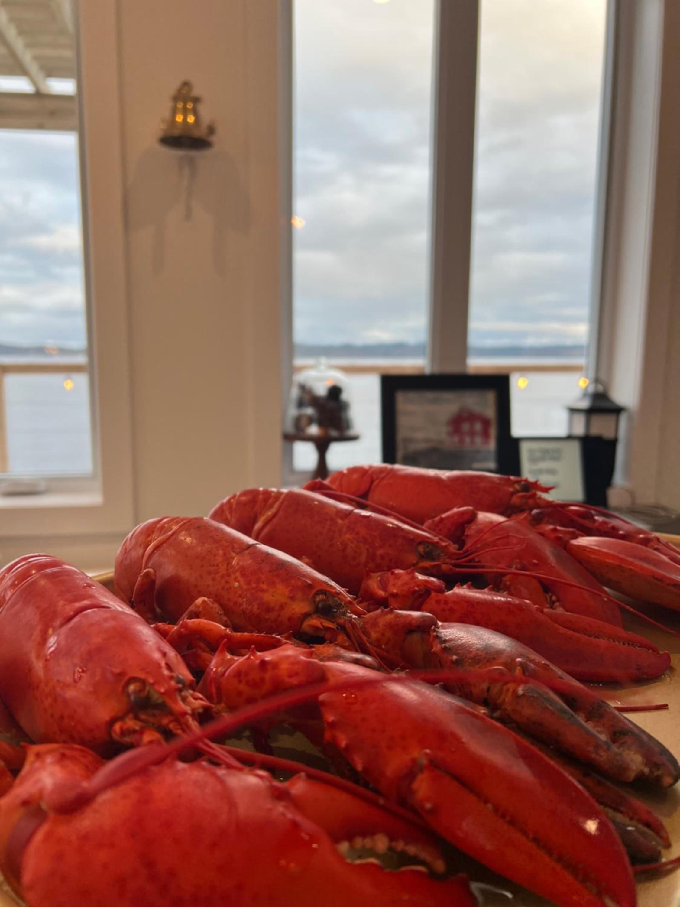The View suites and breakfast in Triton, Newfoundland