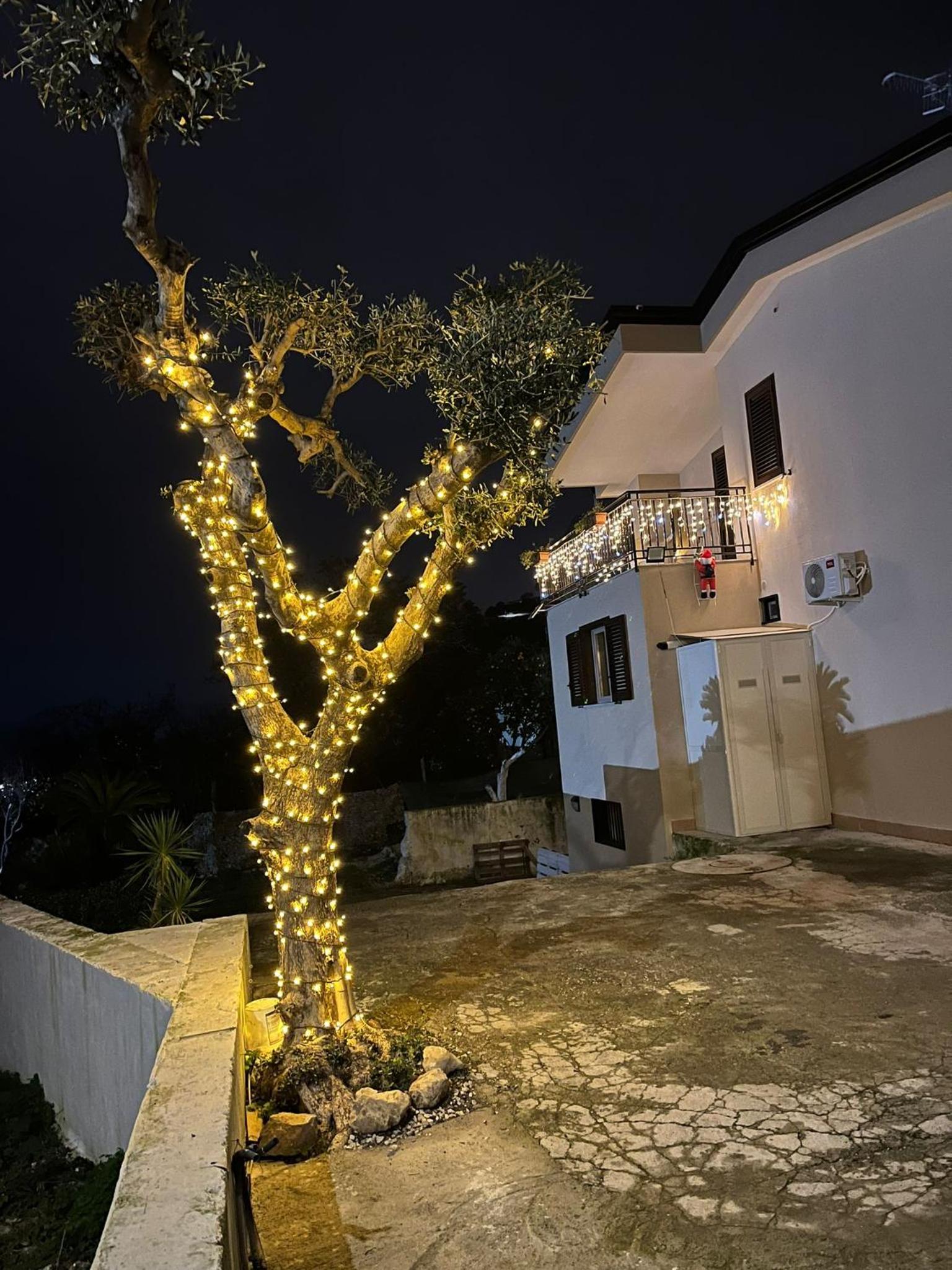 Cerchia Apartments