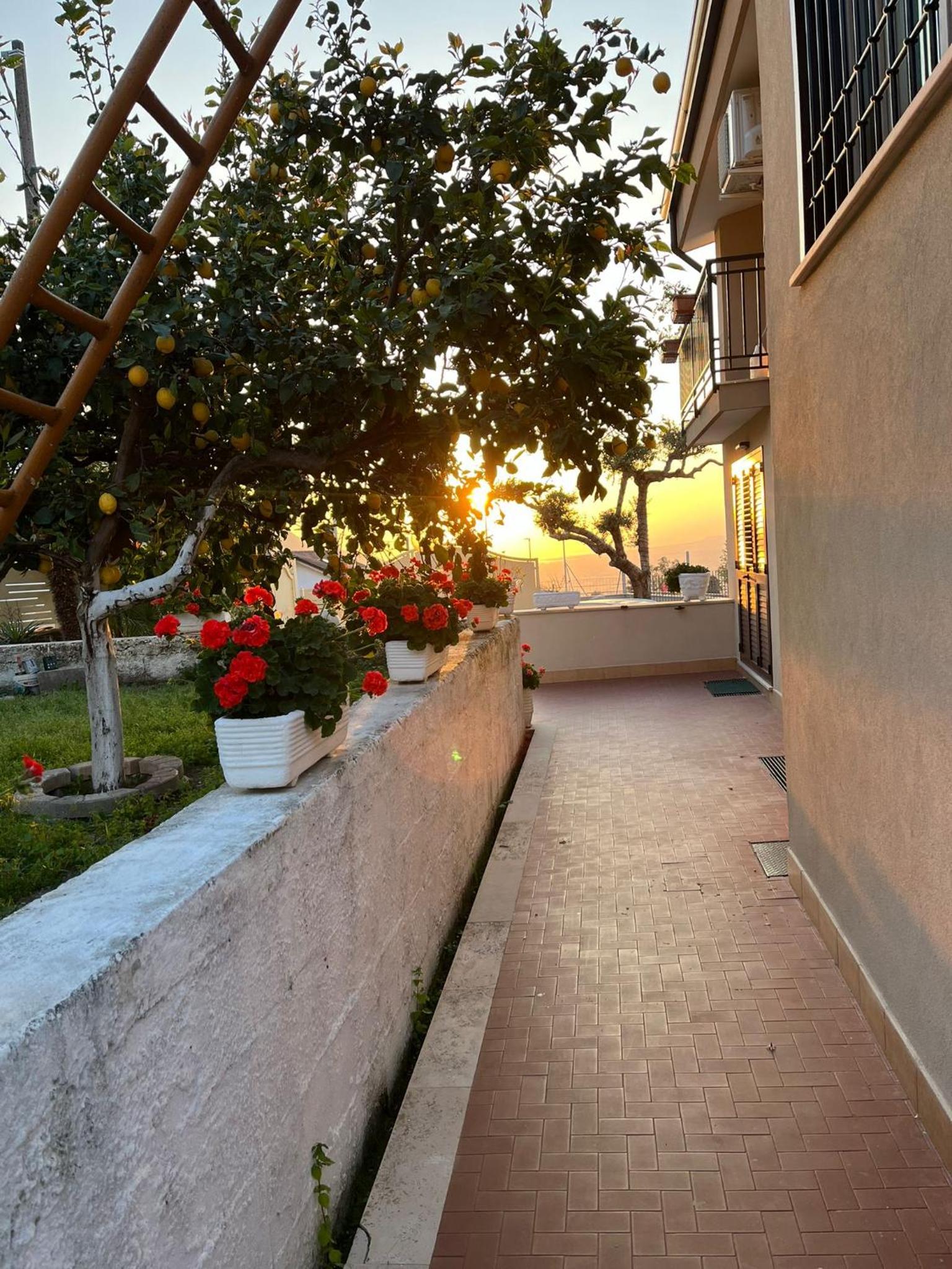 Cerchia Apartments