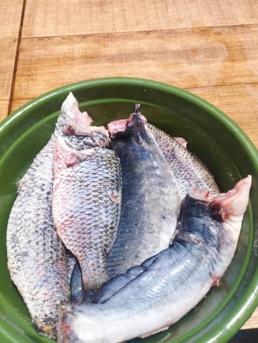 Cabana de pesca e lazer Represa Usina Mafra sc