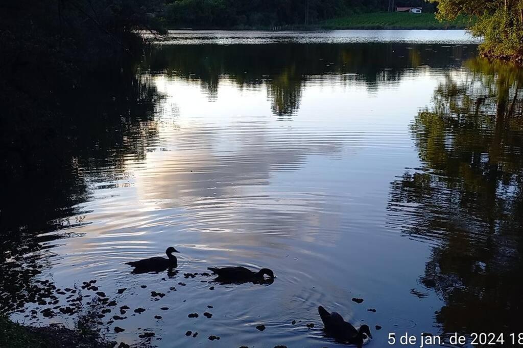 Cabana de pesca e lazer Represa Usina Mafra sc
