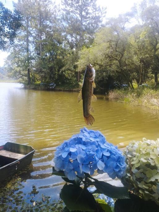 Cabana de pesca e lazer Represa Usina Mafra sc
