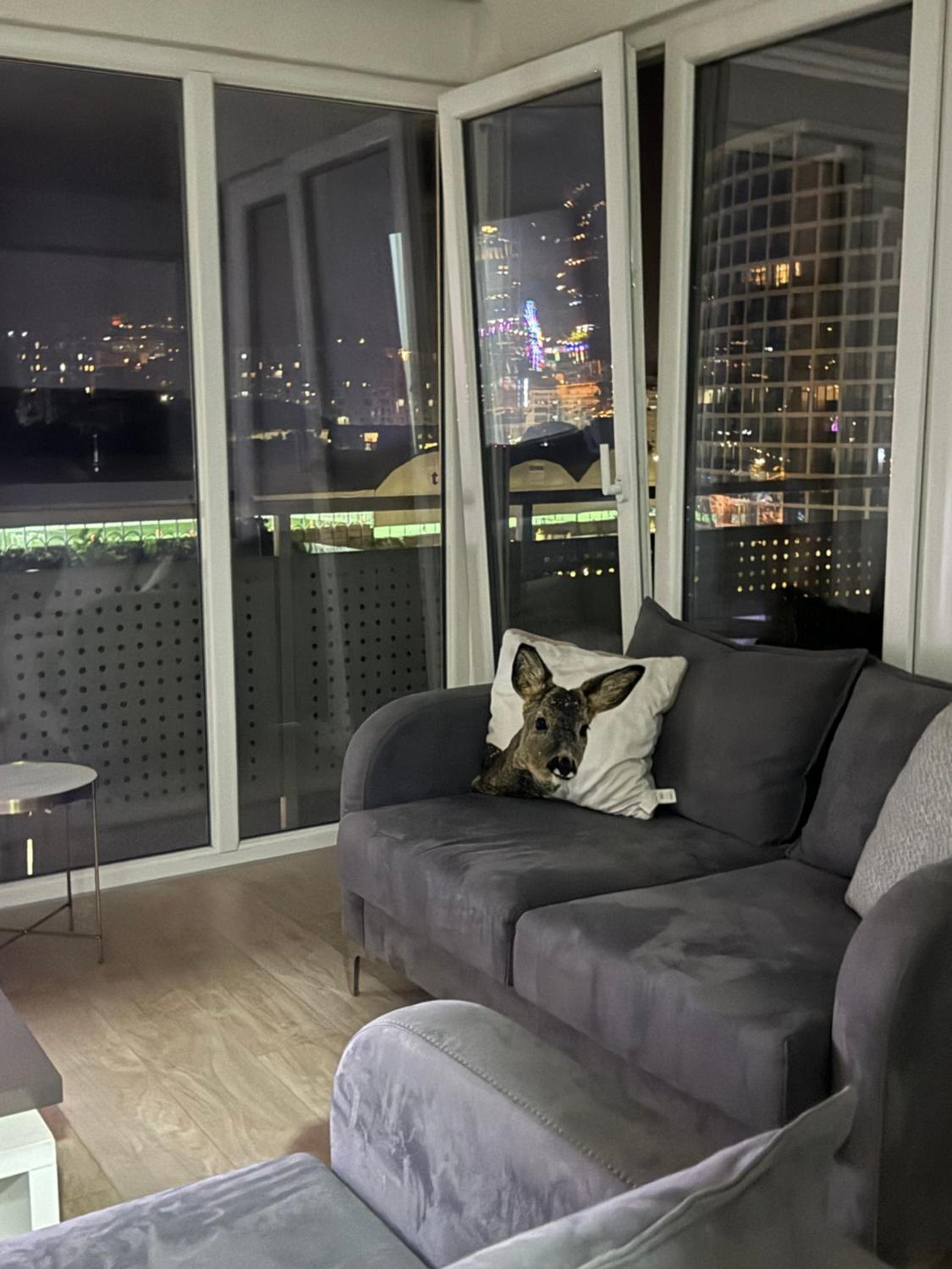 Tirana Lake View Premium Apartment