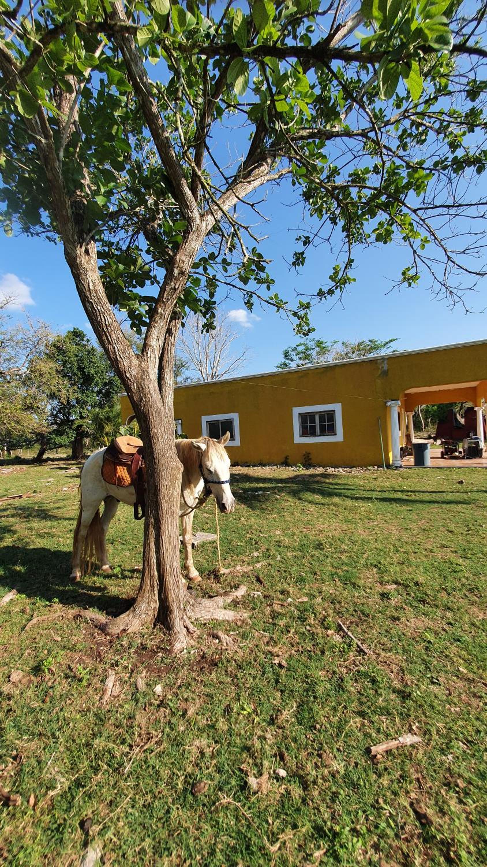 Hacienda Rancho Chablè view 3
