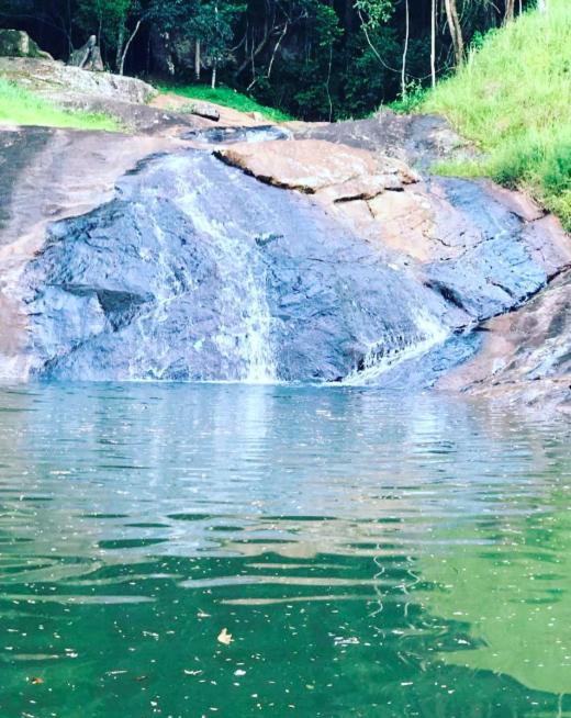 Fazenda inteira e centenária para seu grupo