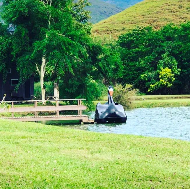 Fazenda inteira e centenária para seu grupo