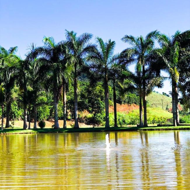 Fazenda inteira e centenária para seu grupo