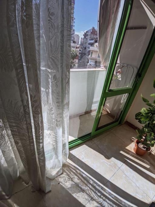 Alexandria Downtown Apartment