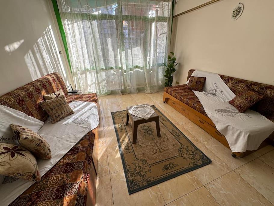 Alexandria Downtown Apartment