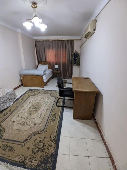 Alexandria Downtown Apartment