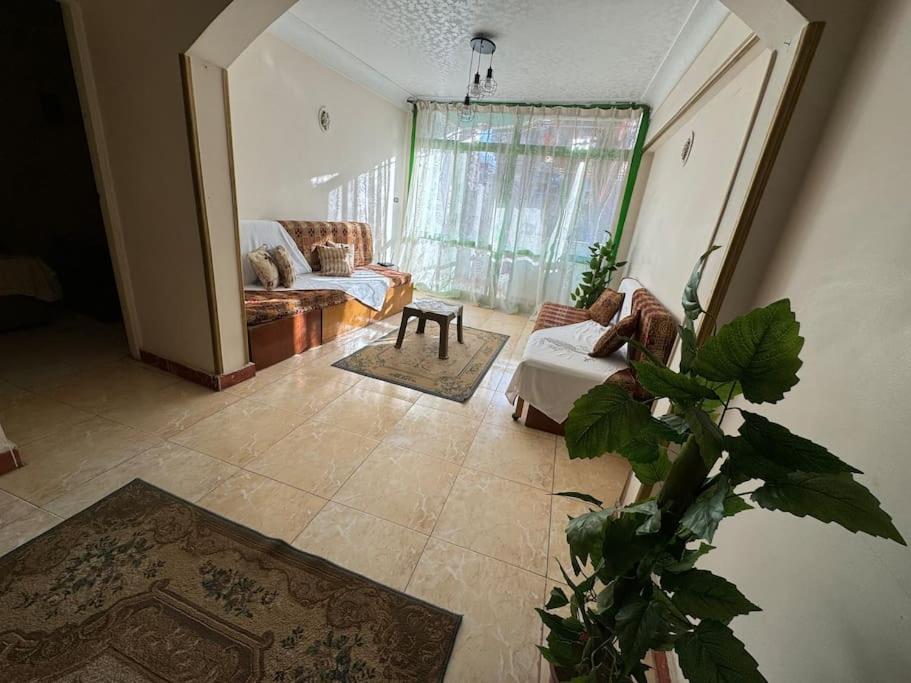 Alexandria Downtown Apartment