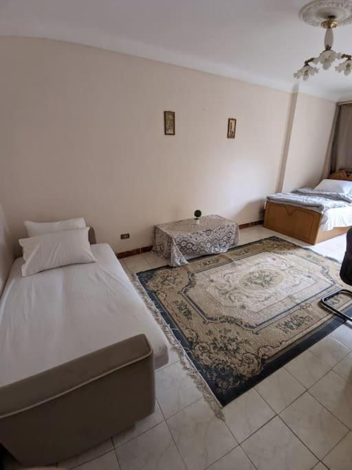 Alexandria Downtown Apartment