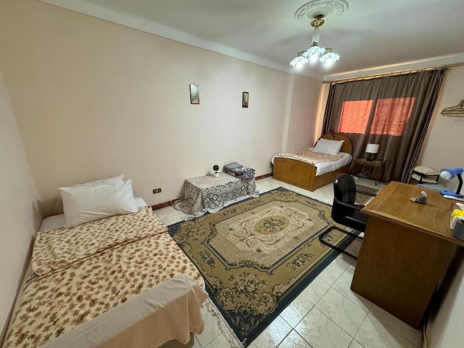 Alexandria Downtown Apartment