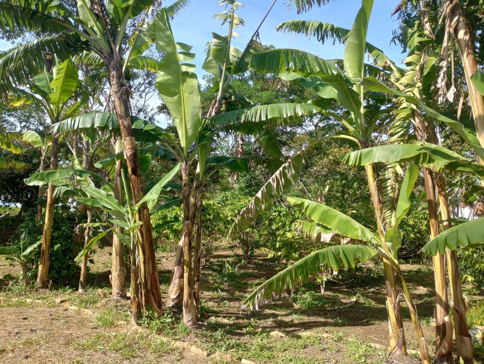 Casa Amatista Curiti