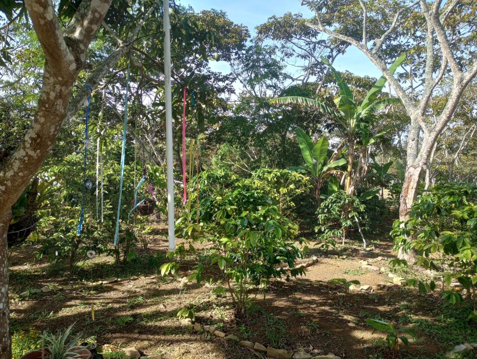 Casa Amatista Curiti