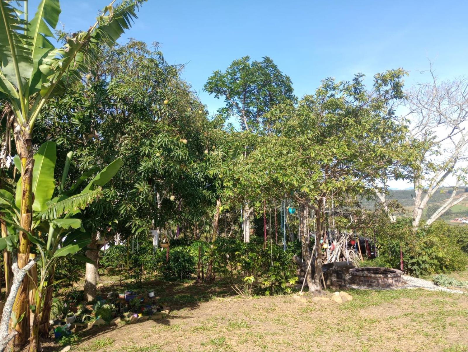 Casa Amatista Curiti