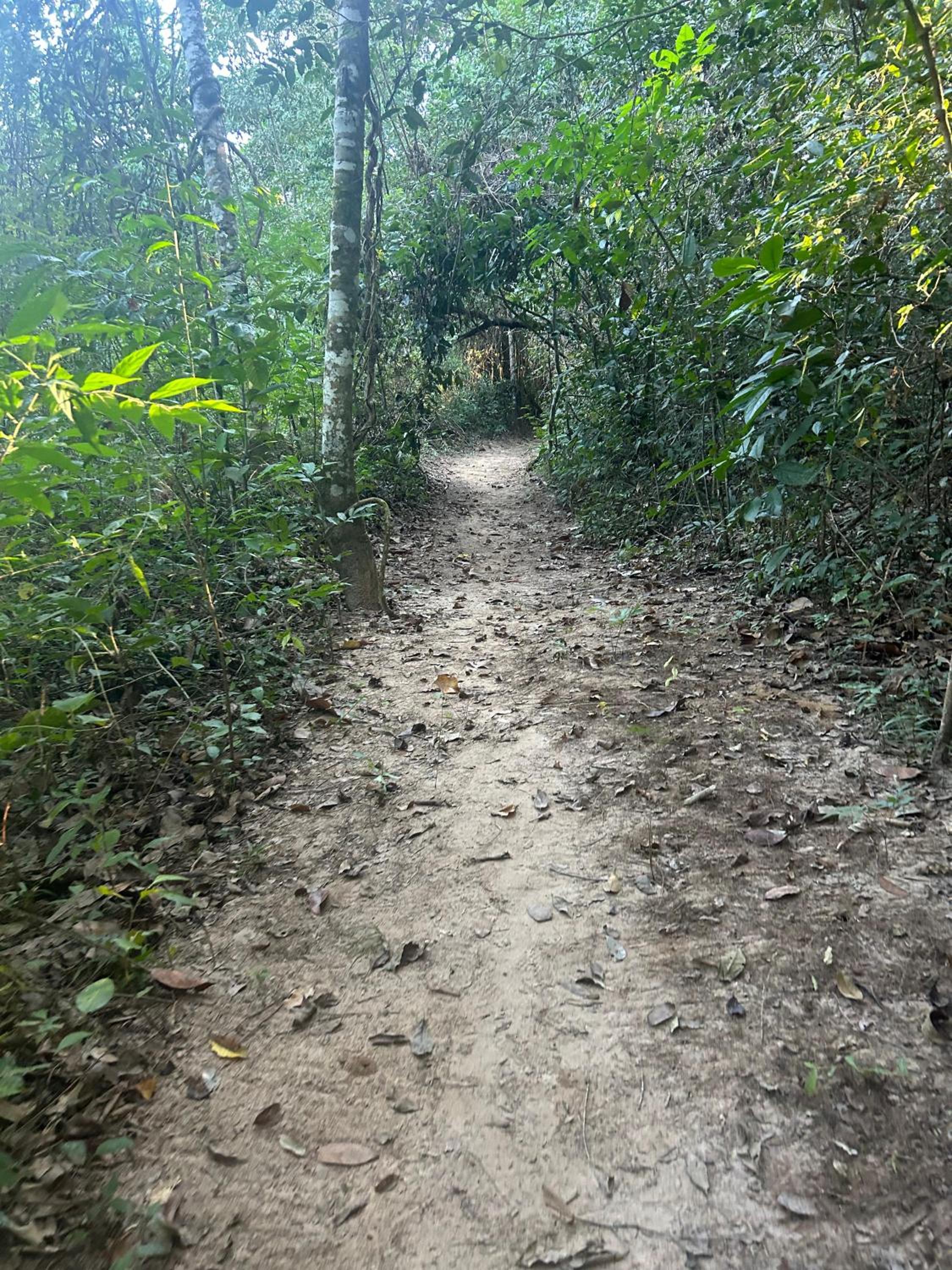 Pousada de Campo Estância Bahamas