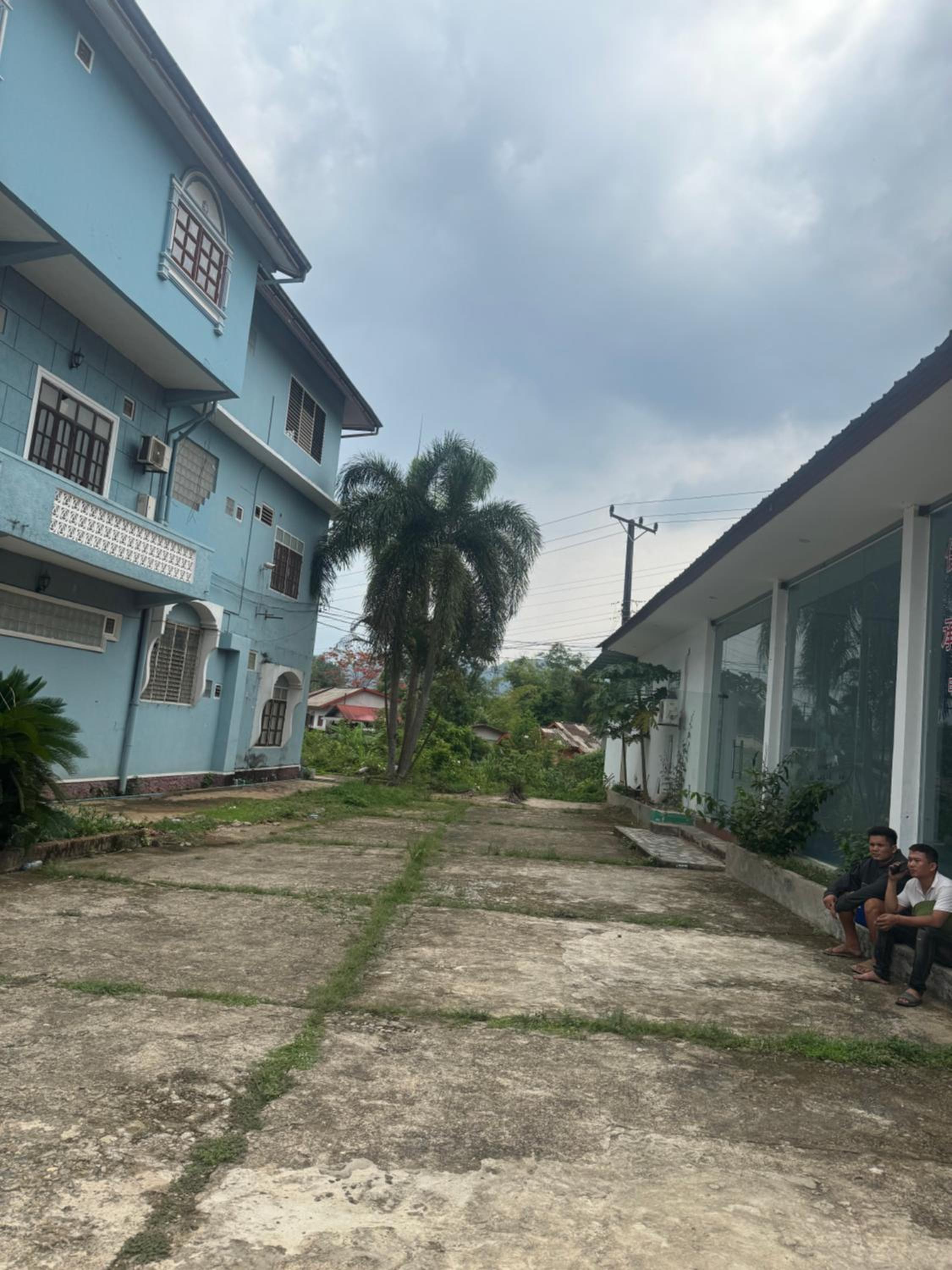 Jungle Backpackers View