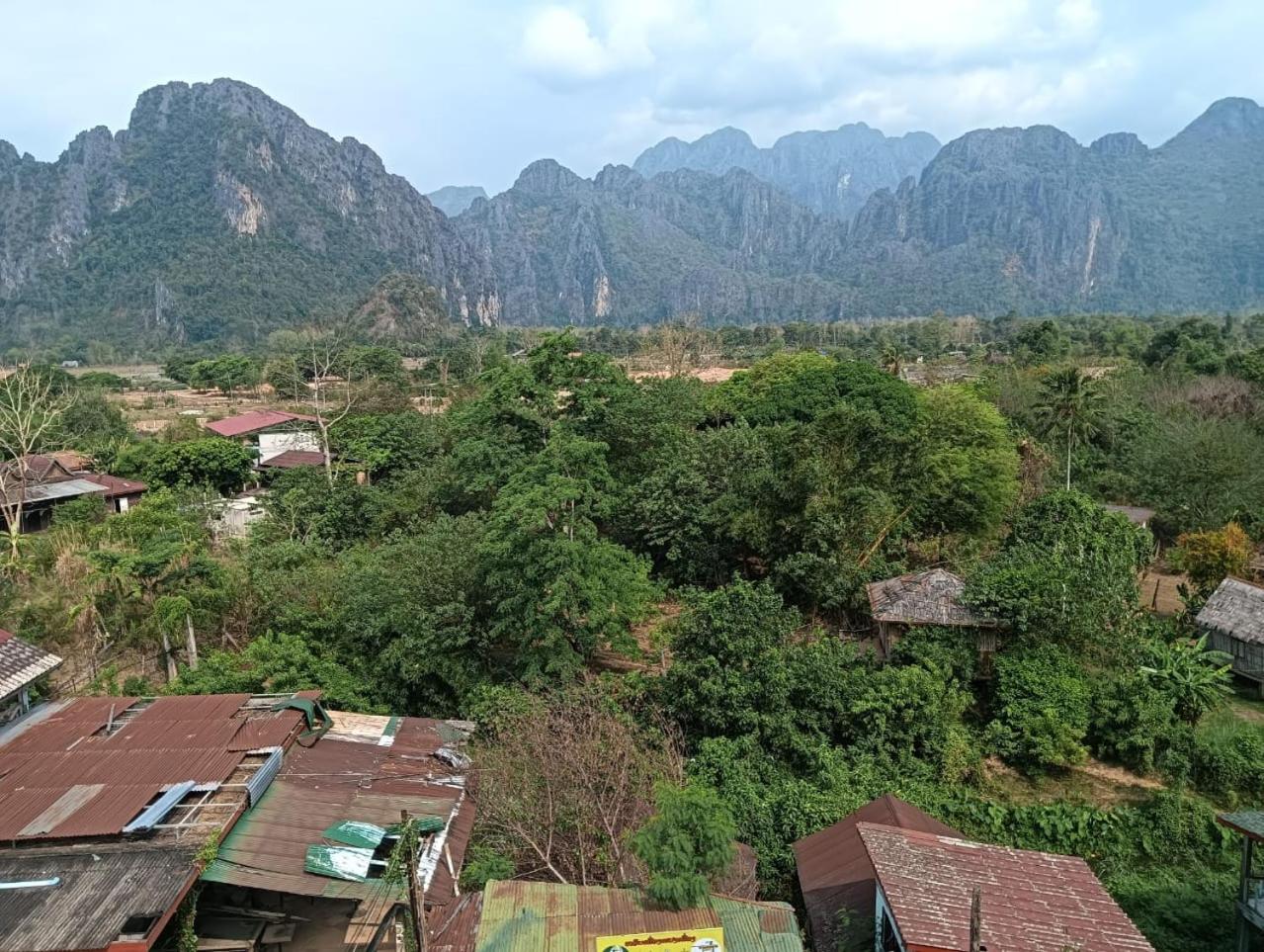Jungle Backpackers View