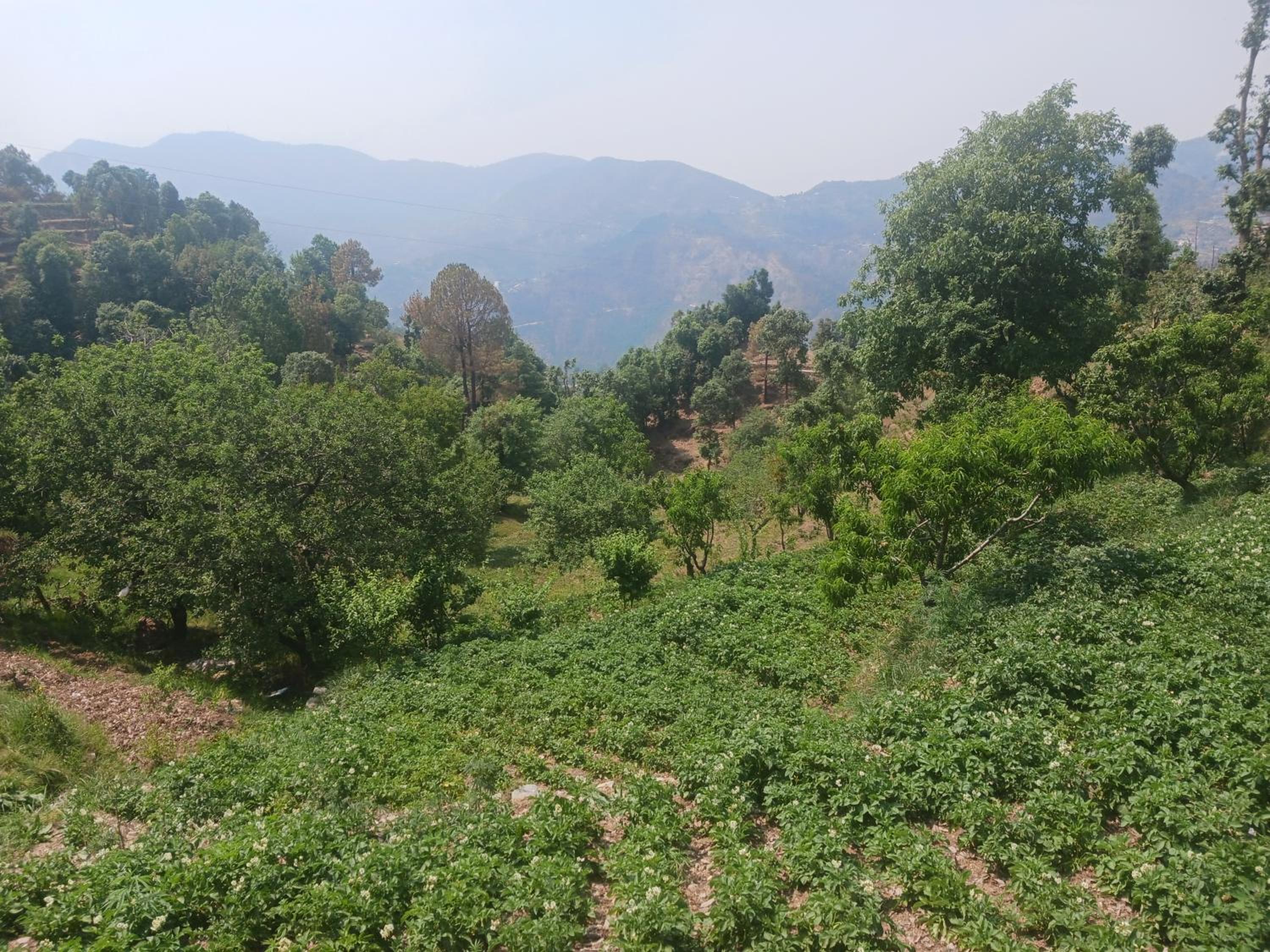 Sunrise home stay view 5