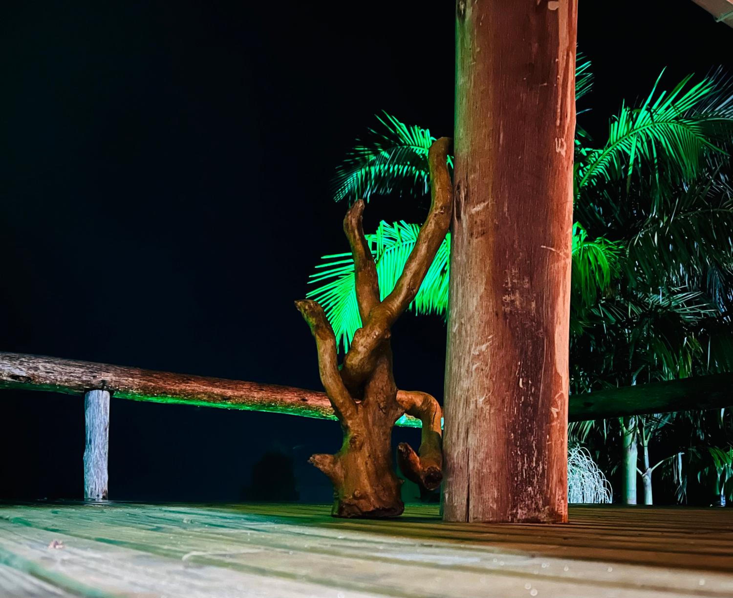 Sitio do Vô Adelfo
