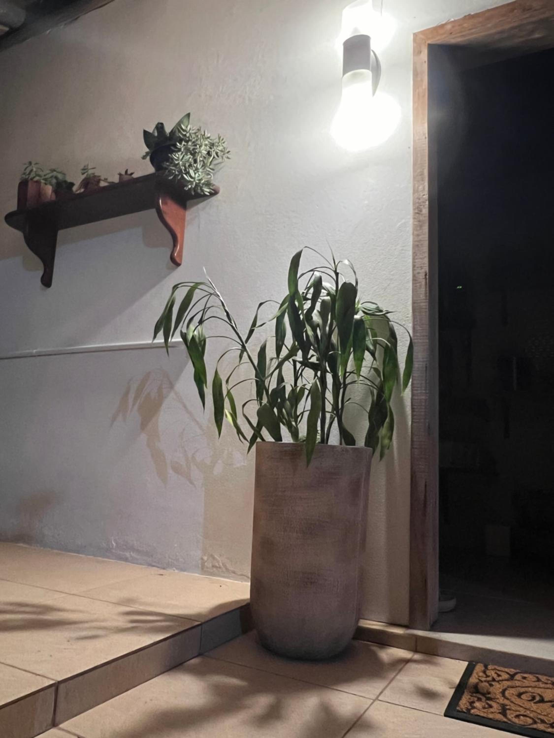 Sitio do Vô Adelfo