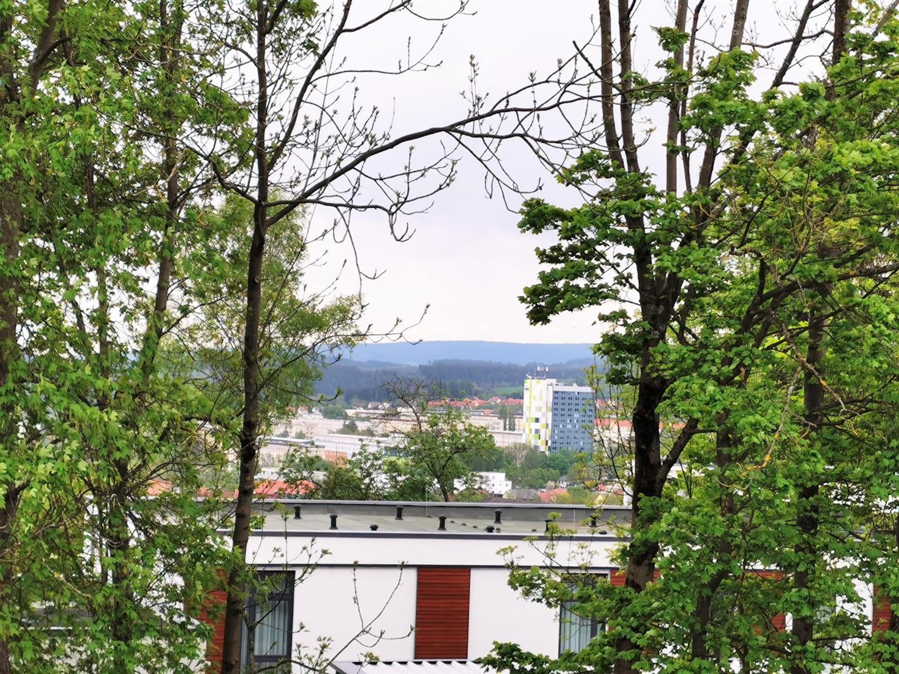 BohnApartments - Stadtblick Zechenhaus - Balkon - Parkplatz - WLAN - sehr ruhig - barrierearm
