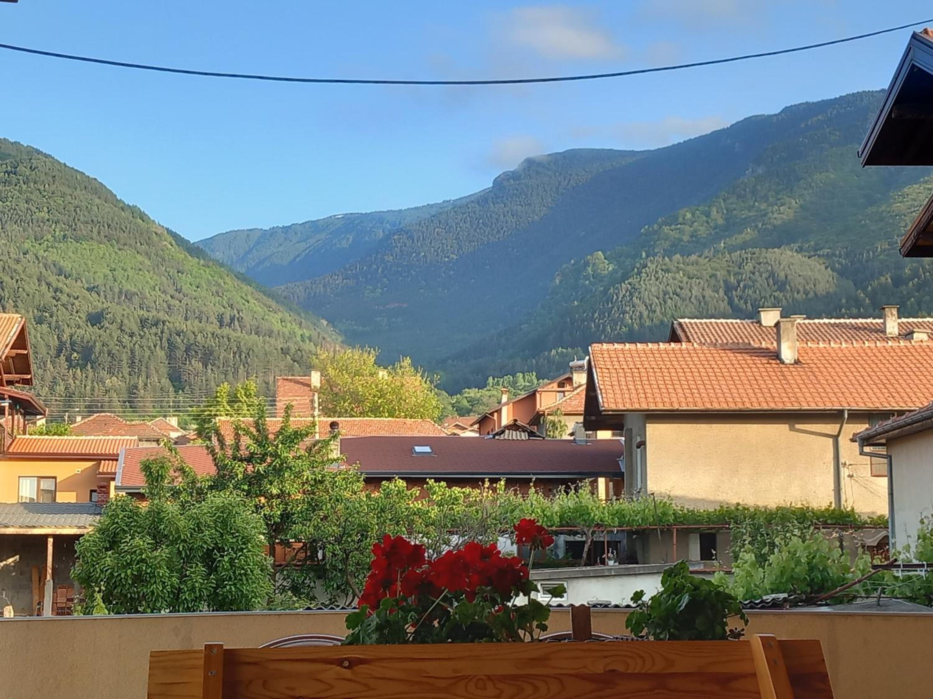 ViBo Guesthouse