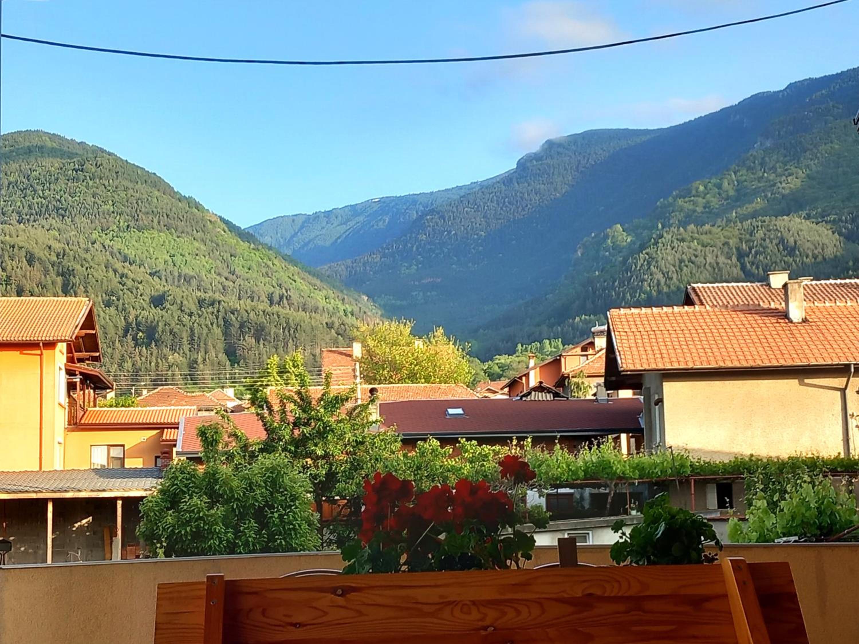 ViBo Guesthouse